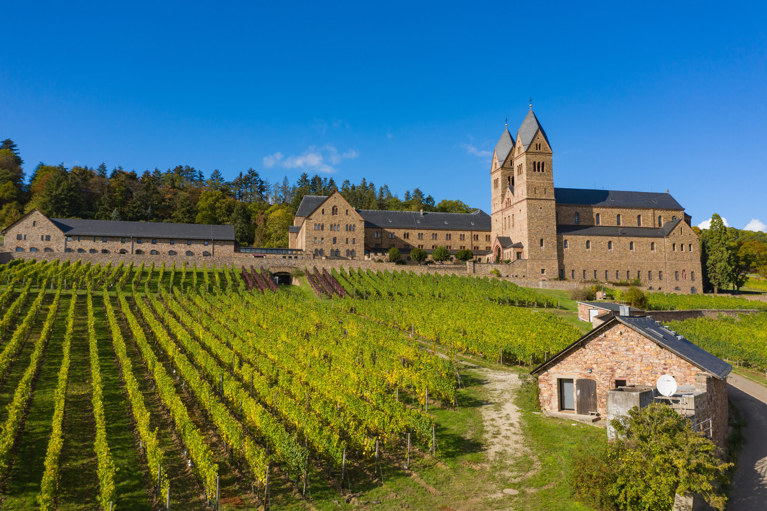 Abbey of St. Hildegard 